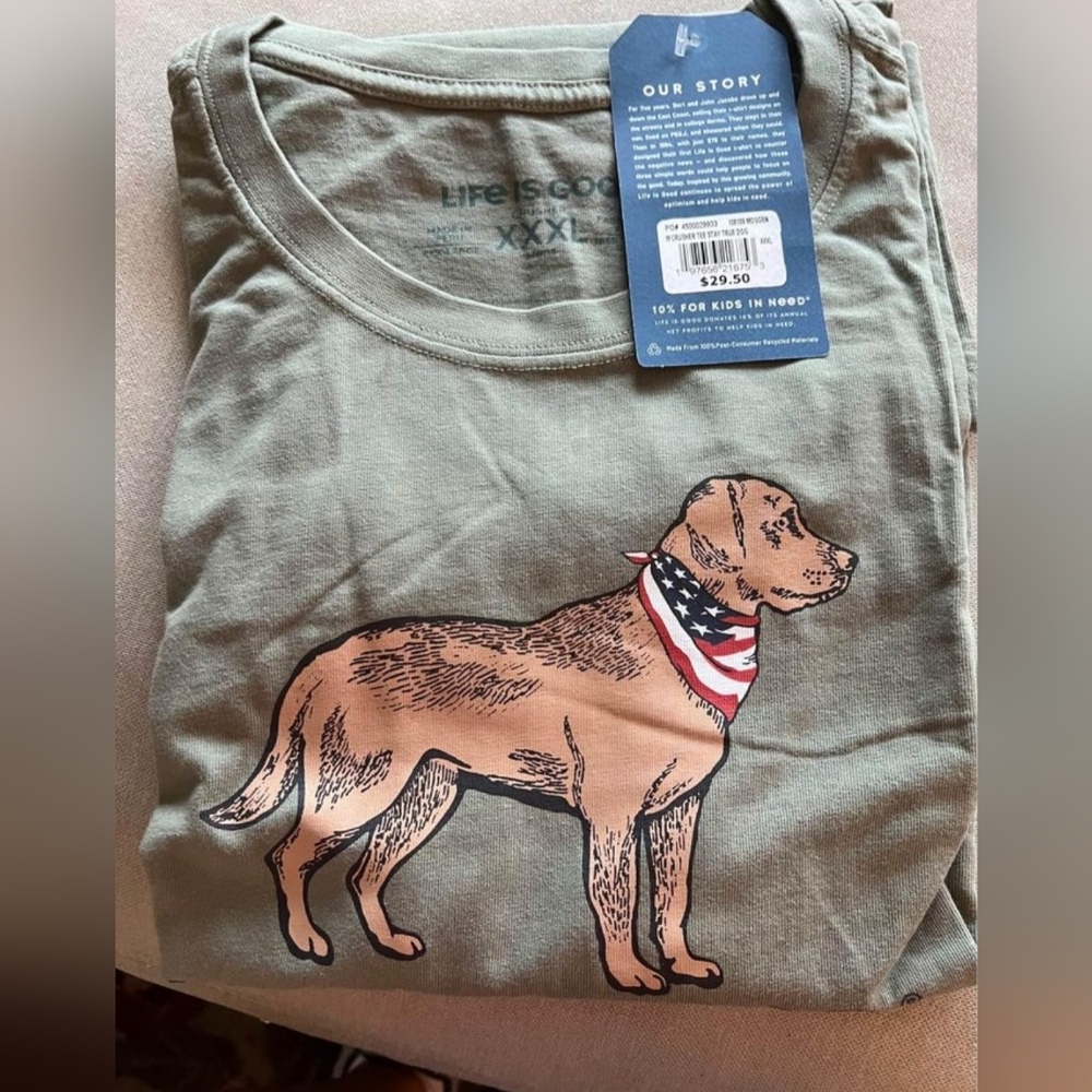 Life is good men's tee 3X